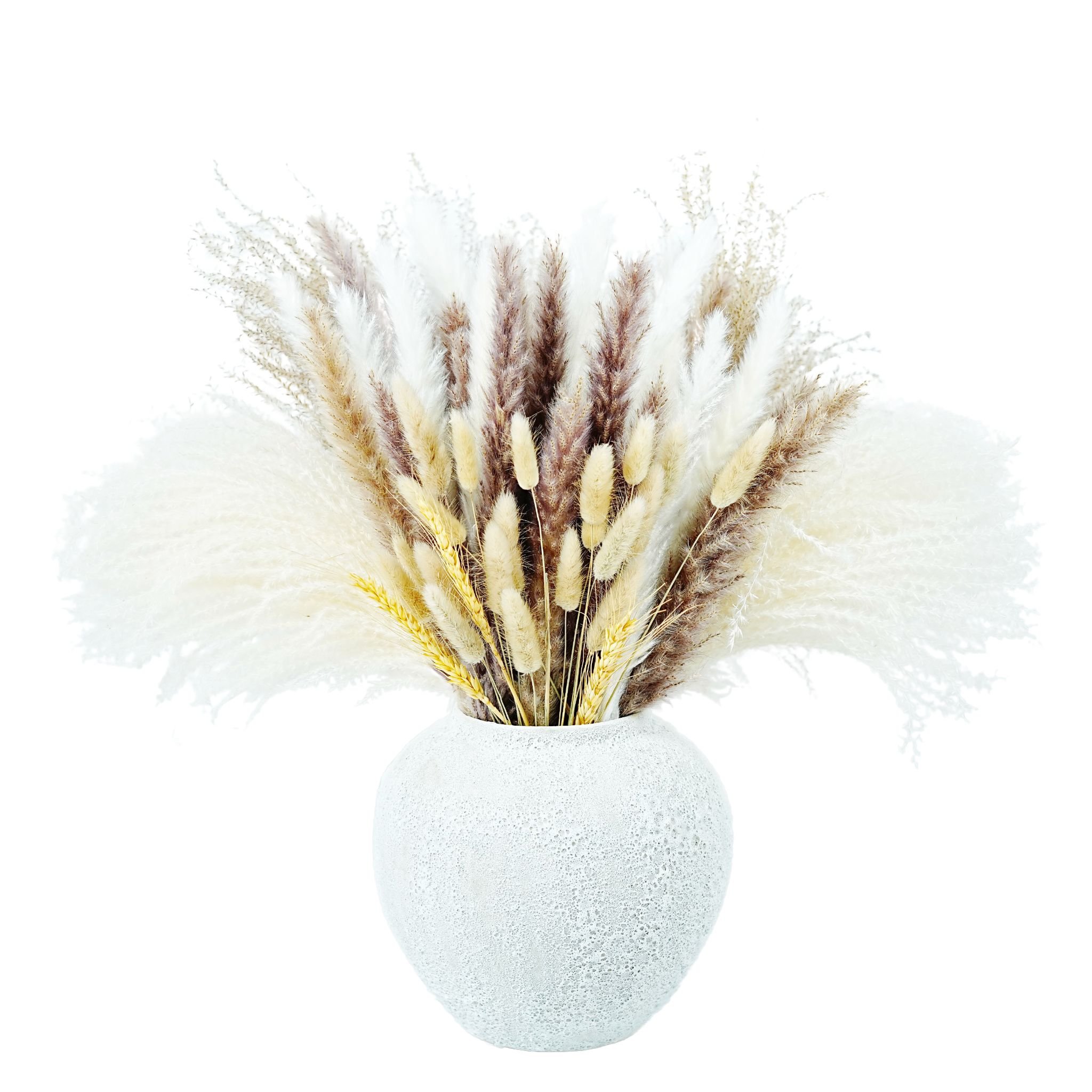 Factory direct sales Various Pampas Natural Pampas Grass & Preserved Flowers Decor Wreath & Home Decoration Pieces Wall Hanging