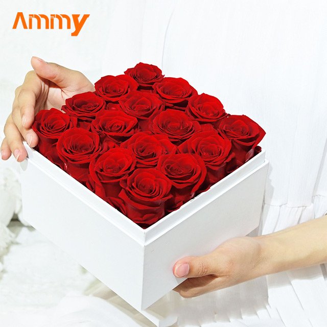 Ammy Preserved Flower Rose Hug Bucket Factory Wholesale 49 Preserved Flower Gift Box Holiday Gift Real Natural Forever