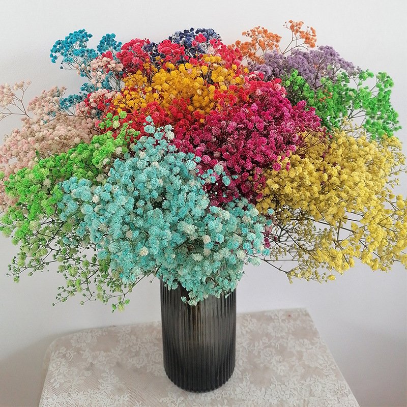 Preserved natural Gypsophila flower, Babysbreath Flower, hot sale flowers,Chinese supplier