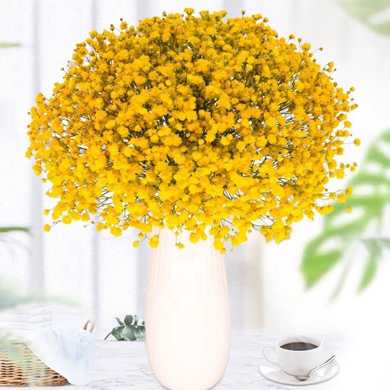 Preserved Star Flowers Fashion Hand Tied Bouquet Flowers Baby Breath Natural Preserved Flowers