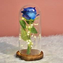 W-QRJ-YSH-BLUE