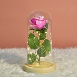 W-QRJ-YSH-PINK