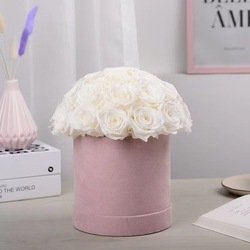 White-18roses