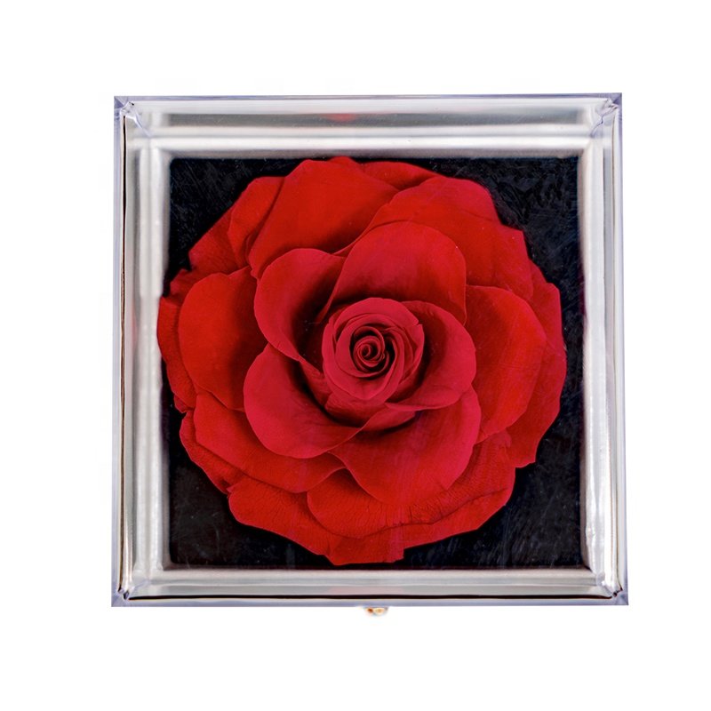 New Wedding Home Decoration Handicraft Forever Preserved Eternal Rose Flower in Jewelry Box