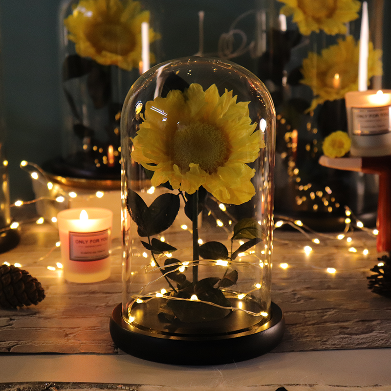 Wholesale Preserved Sunflower High Quality A Grade Preserved Flower with LED Light in Glass Tube for Valentine's Day Gifts