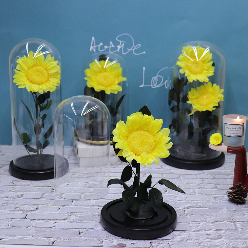 Wholesale Preserved Sunflower High Quality A Grade Preserved Flower with LED Light in Glass Tube for Valentine's Day Gifts