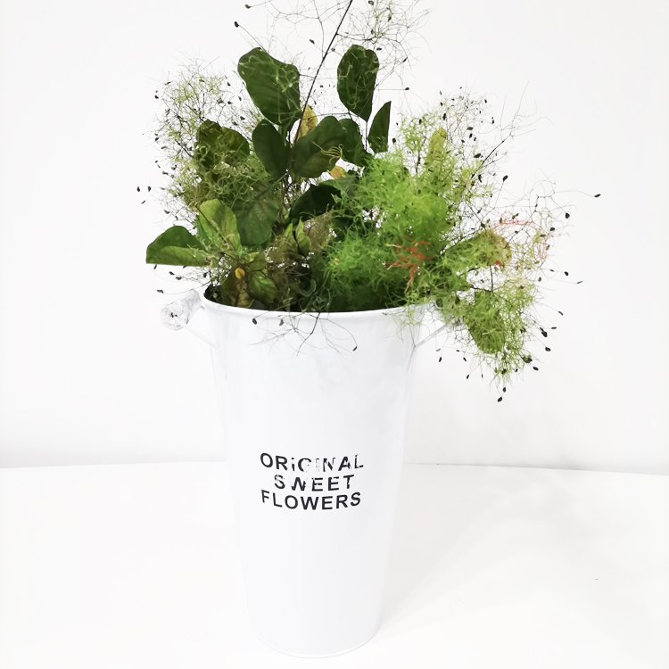 SumFlora Best Happy Birthday Gift Ideas Natural Forever Flowers in Glass preserved flower smoke bush