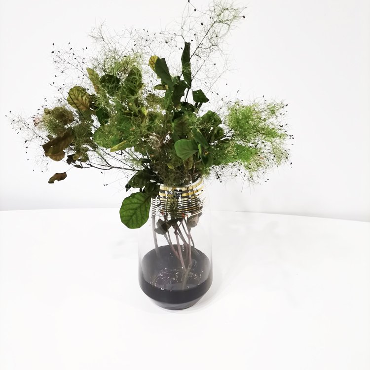 SumFlora Best Happy Birthday Gift Ideas Natural Forever Flowers in Glass preserved flower smoke bush