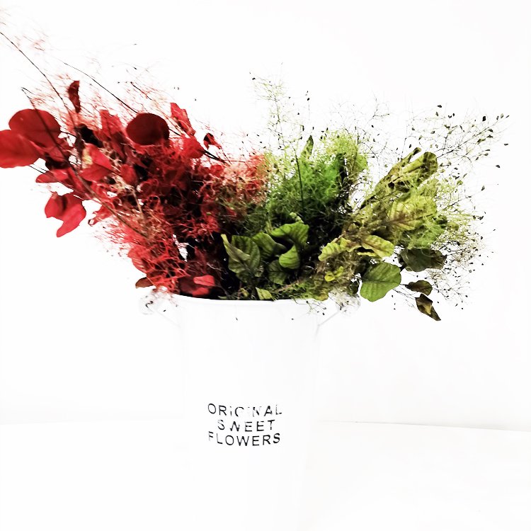 SumFlora Best Happy Birthday Gift Ideas Natural Forever Flowers in Glass preserved flower smoke bush