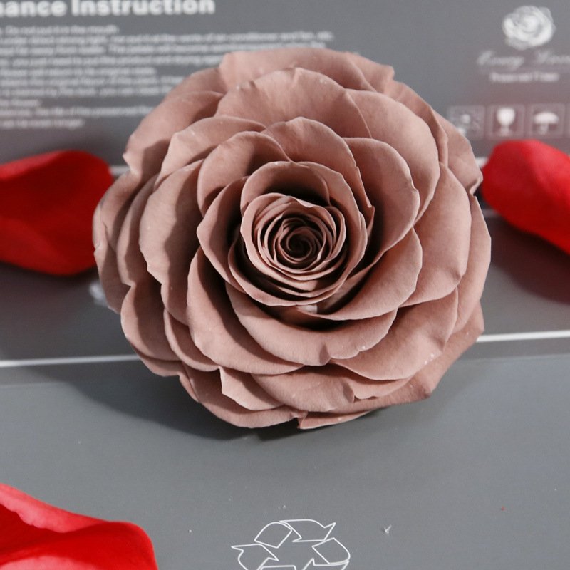 Amazon Hot Selling 9-10 cm Preserved Rose 1 roses one box Preserved Roses For Birthday Decoration