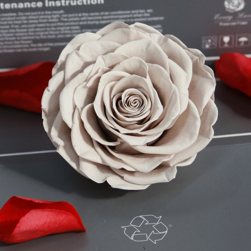 Amazon Hot Selling 9-10 cm Preserved Rose 1 roses one box Preserved Roses For Birthday Decoration
