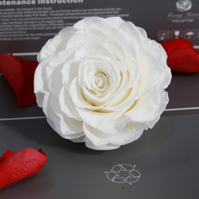 Amazon Hot Selling 9-10 cm Preserved Rose 1 roses one box Preserved Roses For Birthday Decoration