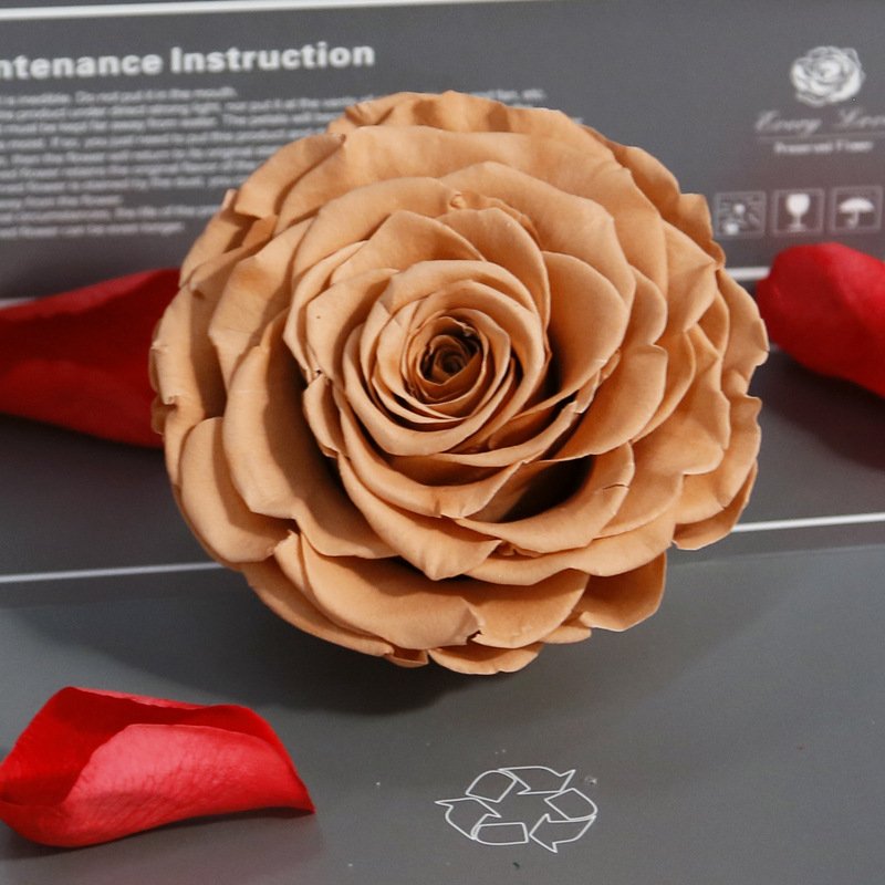 Amazon Hot Selling 9-10 cm Preserved Rose 1 roses one box Preserved Roses For Birthday Decoration