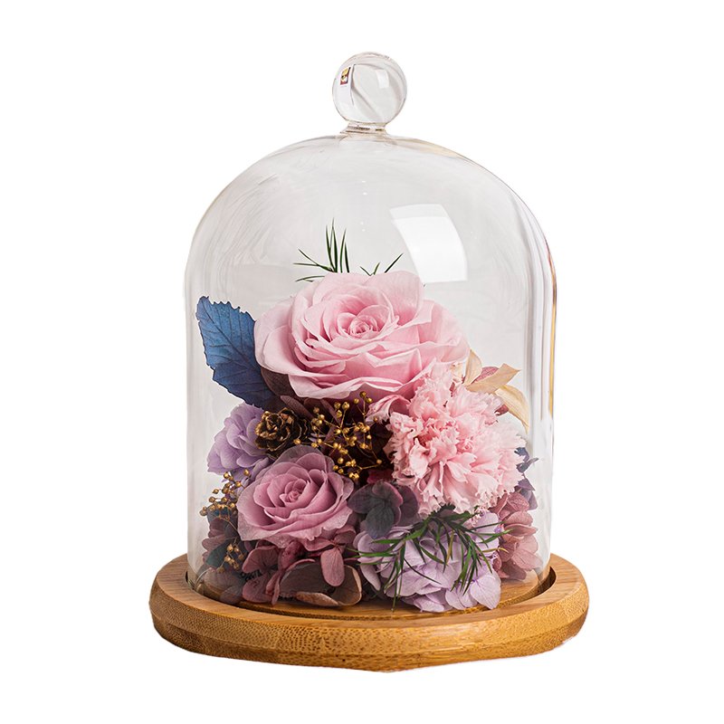 Wholesale high quality Little Star Series Rose and Carnation Preserved Flower Ornaments For Birthday Girl Friend's Gift