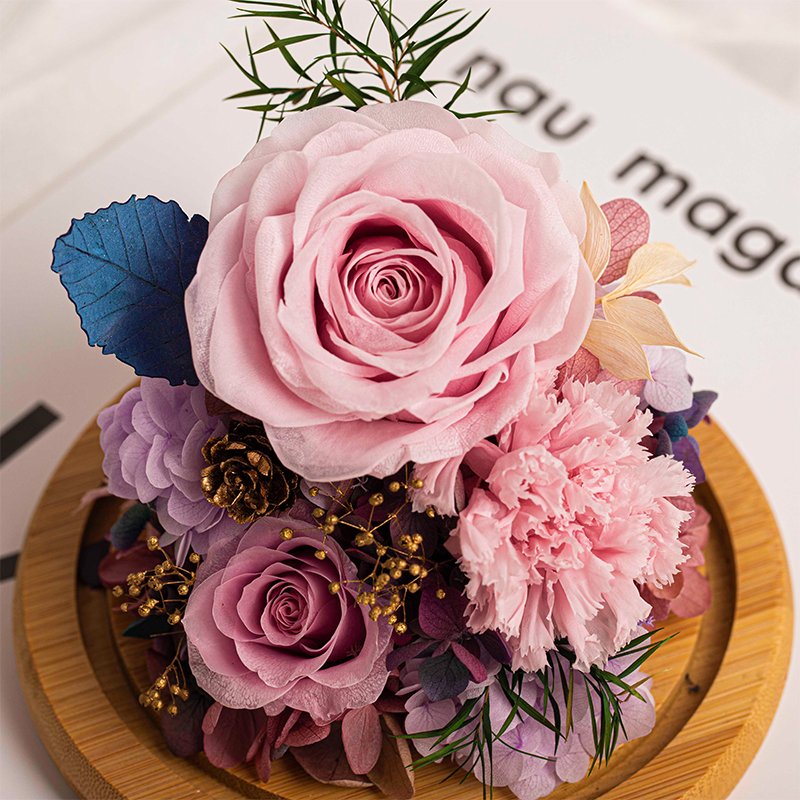 Wholesale high quality Little Star Series Rose and Carnation Preserved Flower Ornaments For Birthday Girl Friend's Gift