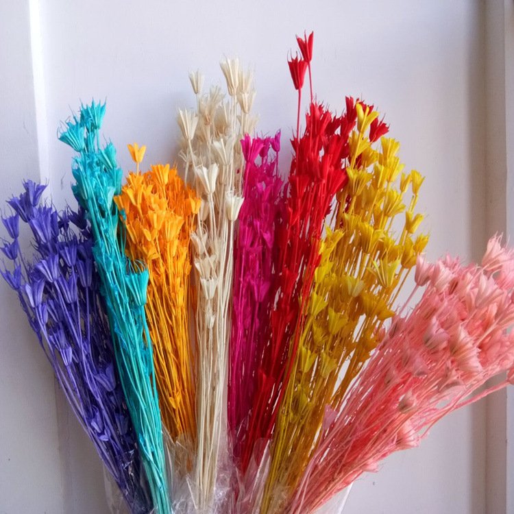 Factory Dried flower preserved octagon flower for preserved flower arrangement