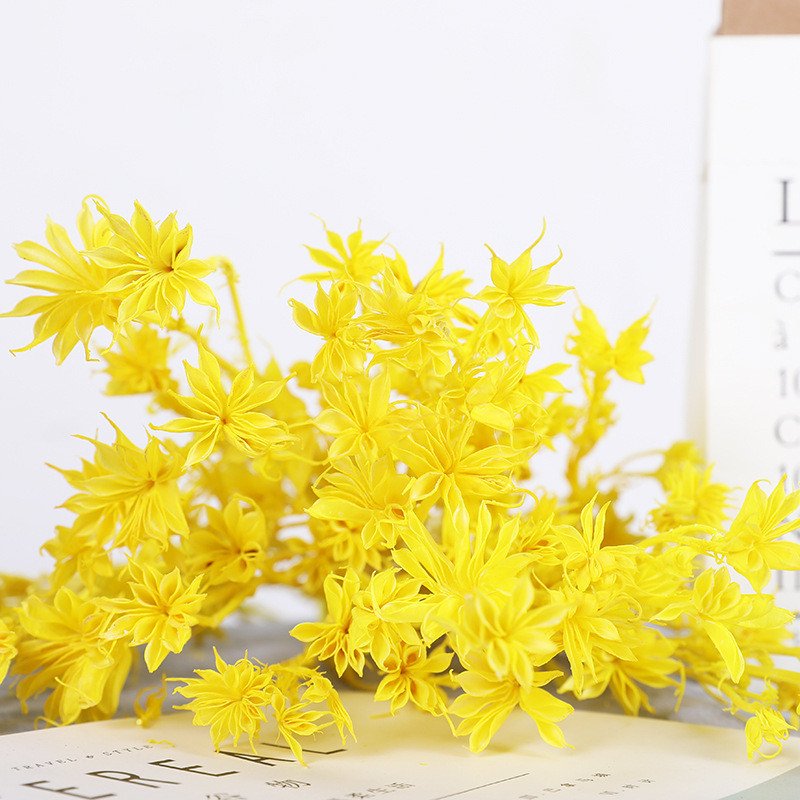 Factory Dried flower preserved octagon flower for preserved flower arrangement