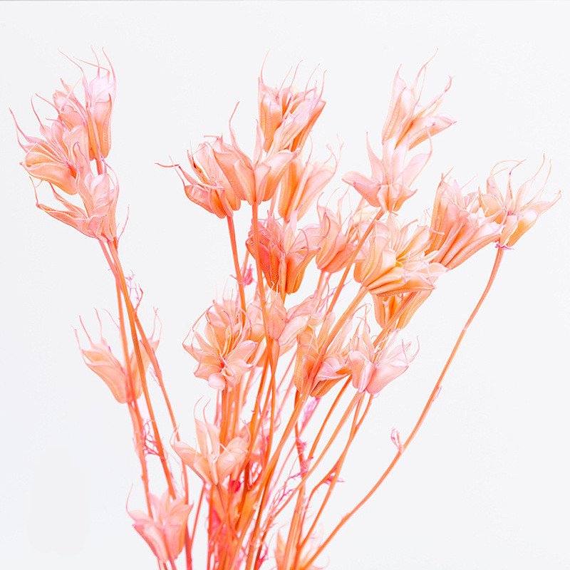 Factory Dried flower preserved octagon flower for preserved flower arrangement
