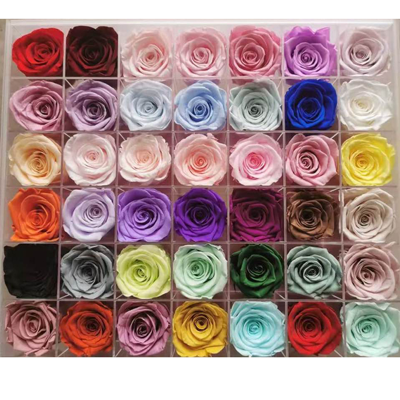 Wholesale Preserved Flowers And Plants Real Flower Natural 5-6 cm Preserved Roses Bud For Diy Floral Arrangements Bouquets