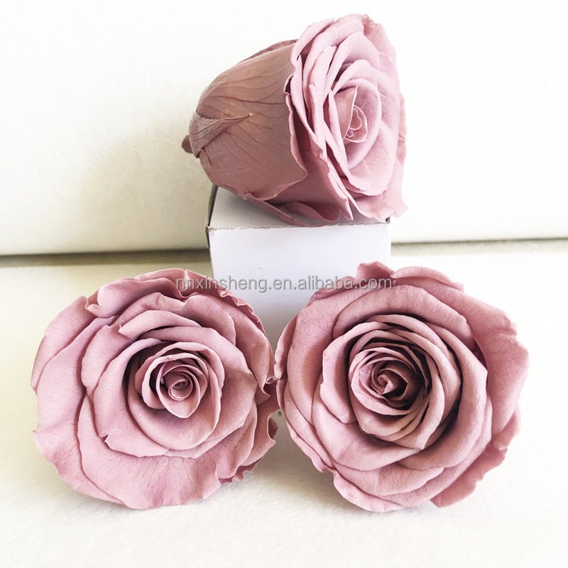 Wholesale Preserved Flowers And Plants Real Flower Natural 5-6 cm Preserved Roses Bud For Diy Floral Arrangements Bouquets