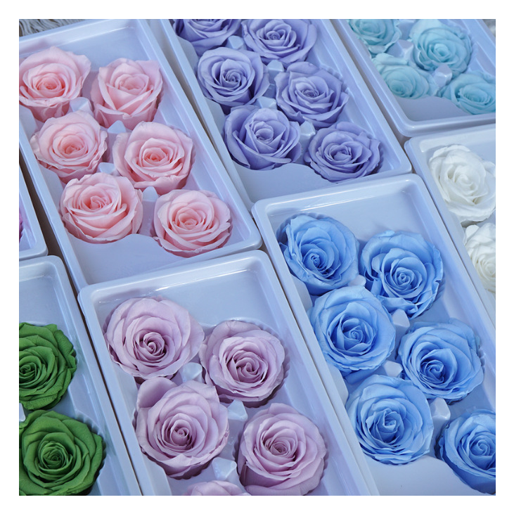 Wholesale Preserved Flowers And Plants Real Flower Natural 5-6 cm Preserved Roses Bud For Diy Floral Arrangements Bouquets