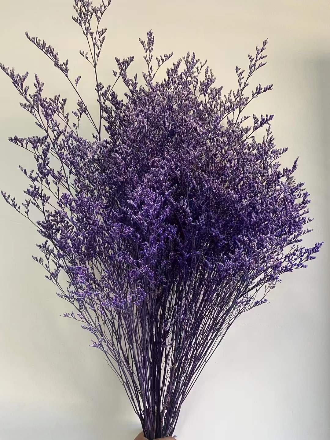 Preserved Limonium Lover's Grass for Household Flower Arranging Office & Party Events Decoration Wedding Occasions