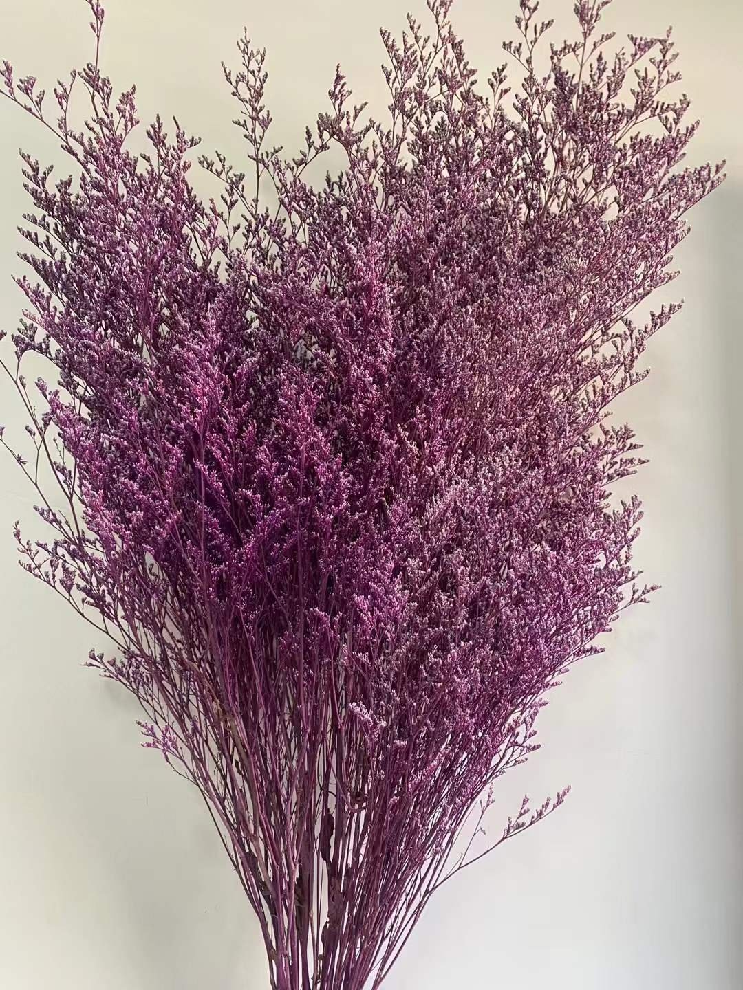 Preserved Limonium Lover's Grass for Household Flower Arranging Office & Party Events Decoration Wedding Occasions