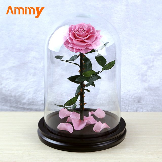 Ammy wedding favors Preserved Flower Rose Small Prince Red Eternal Flower With Glass Cover For Gift other wedding decorations