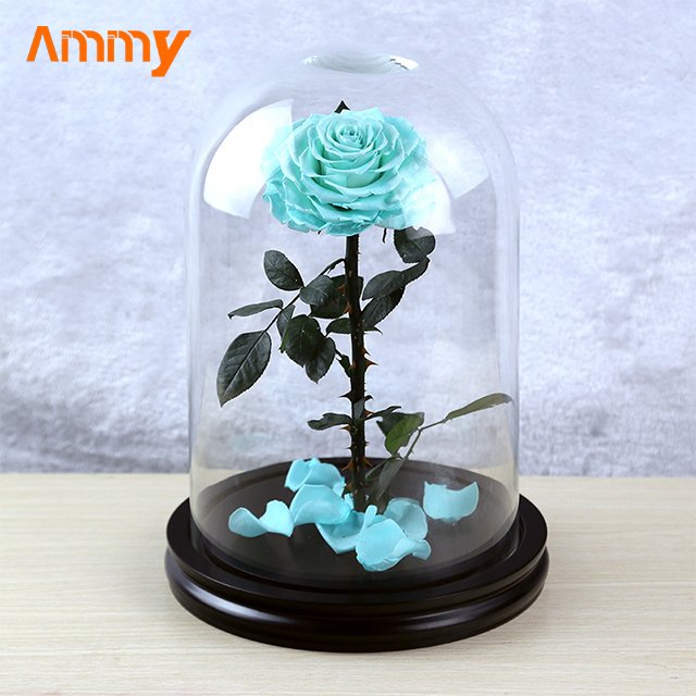 Ammy wedding favors Preserved Flower Rose Small Prince Red Eternal Flower With Glass Cover For Gift other wedding decorations
