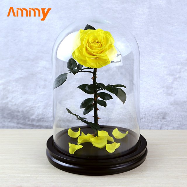 Ammy wedding favors Preserved Flower Rose Small Prince Red Eternal Flower With Glass Cover For Gift other wedding decorations