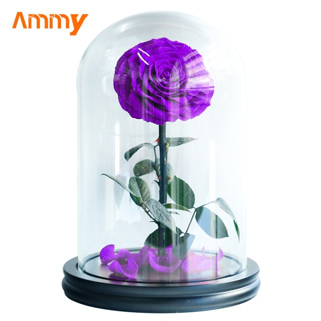 Ammy wedding favors Preserved Flower Rose Small Prince Red Eternal Flower With Glass Cover For Gift other wedding decorations