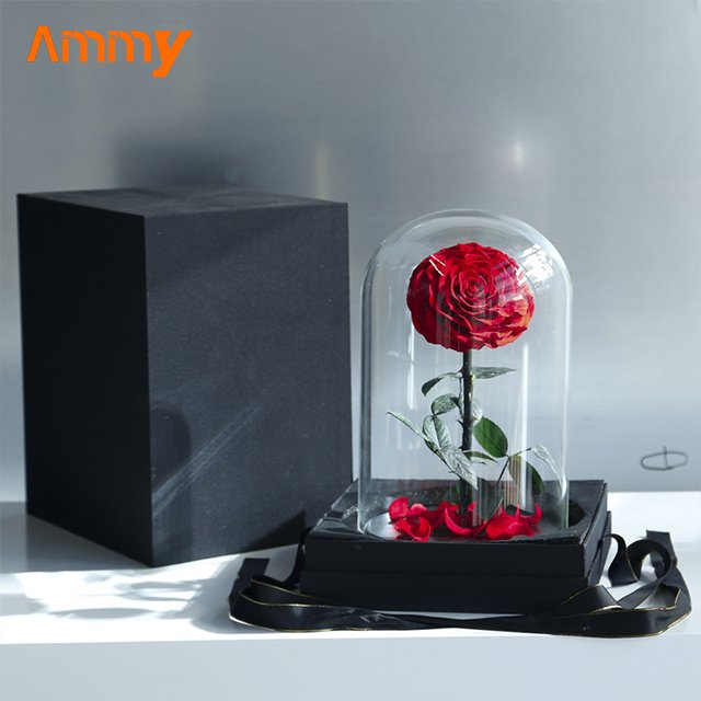 Ammy wedding favors Preserved Flower Rose Small Prince Red Eternal Flower With Glass Cover For Gift other wedding decorations