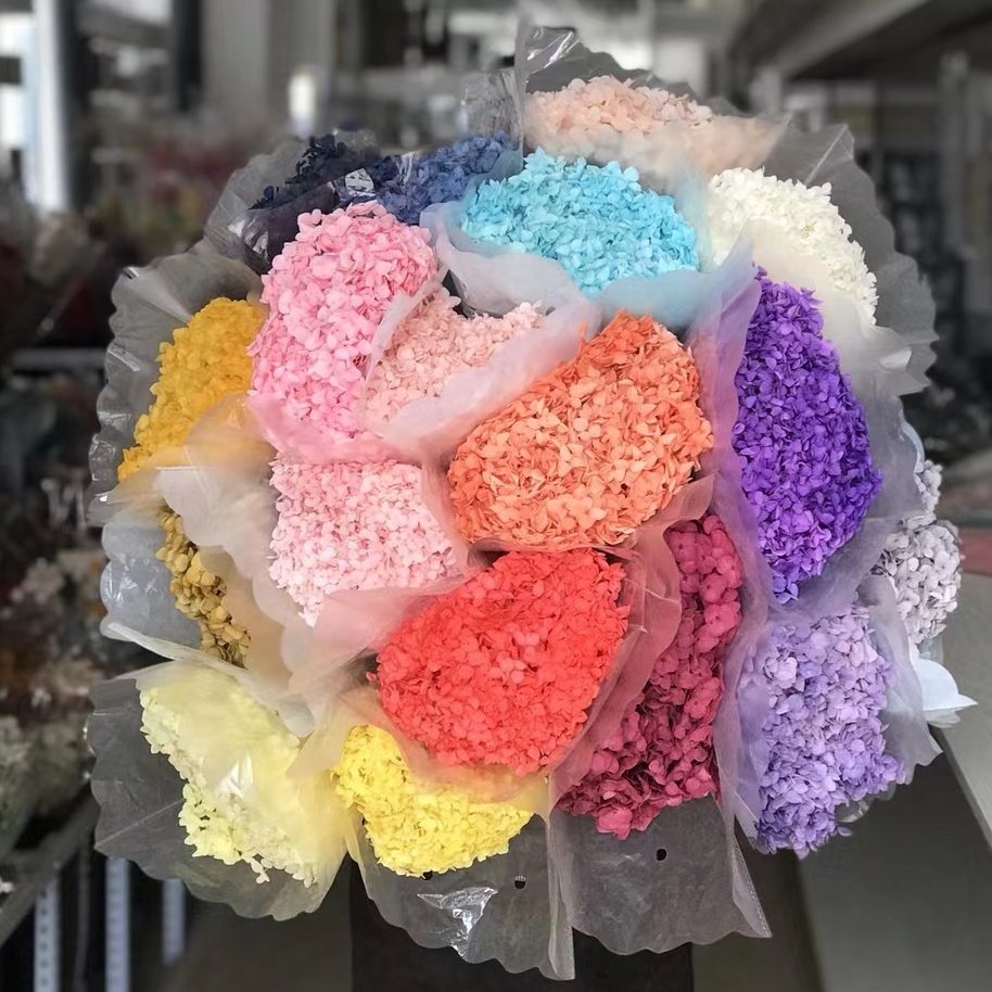 Diy Material Immortal Preserved Fresh Hydrangea Flower The Colorful Forever Lasting Hydrangea With Branches