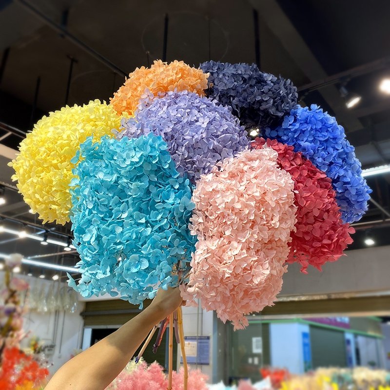 Diy Material Immortal Preserved Fresh Hydrangea Flower The Colorful Forever Lasting Hydrangea With Branches