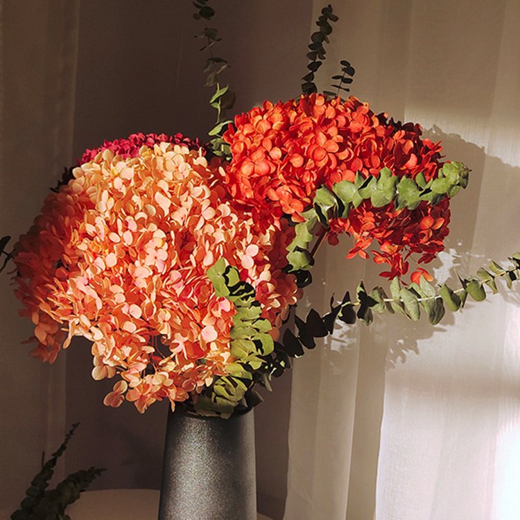 Diy Material Immortal Preserved Fresh Hydrangea Flower The Colorful Forever Lasting Hydrangea With Branches
