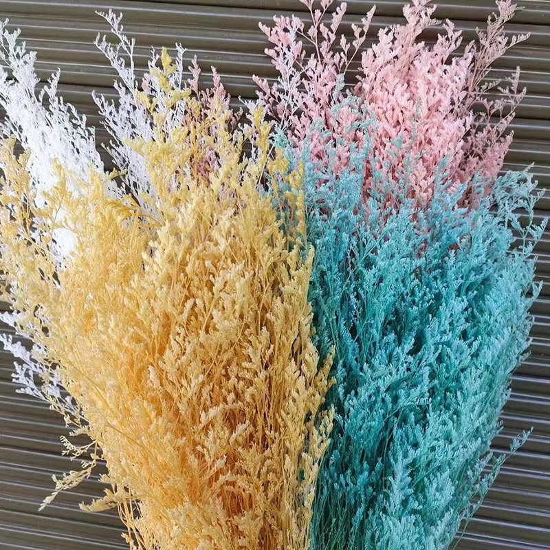 Valentine's grass Misty Caspia Wedding Boho Decoration Australia Popular Dried Flowers Plant Sea Lavender Preserved Limonium