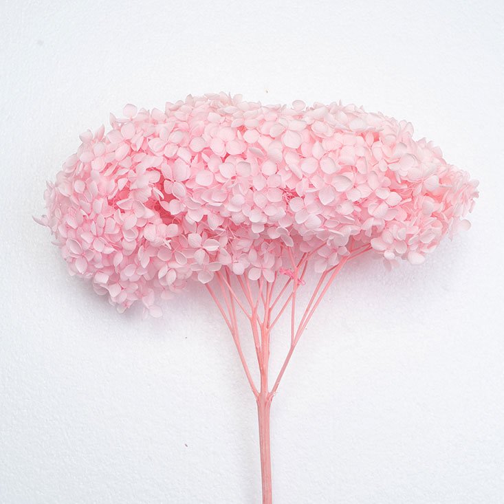 Colorful Preserved Hydrangea Decorative Flower for Wedding