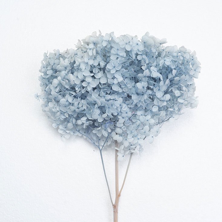 Colorful Preserved Hydrangea Decorative Flower for Wedding