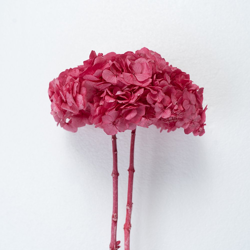 Colorful Preserved Hydrangea Decorative Flower for Wedding
