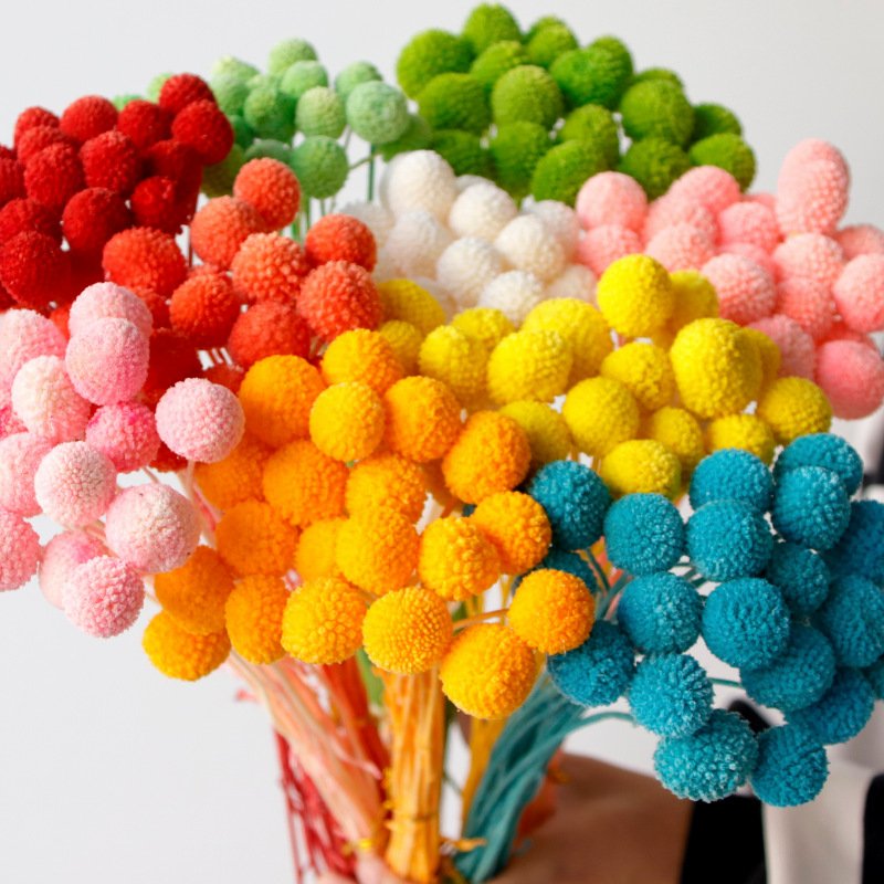 Dry Flower Golden Billy Button Flowers for Wedding Decoration Preserved Flowers Craspedia Billy Ball