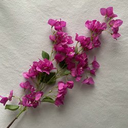 01-Purple