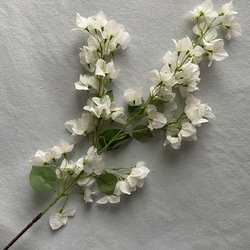 01-White