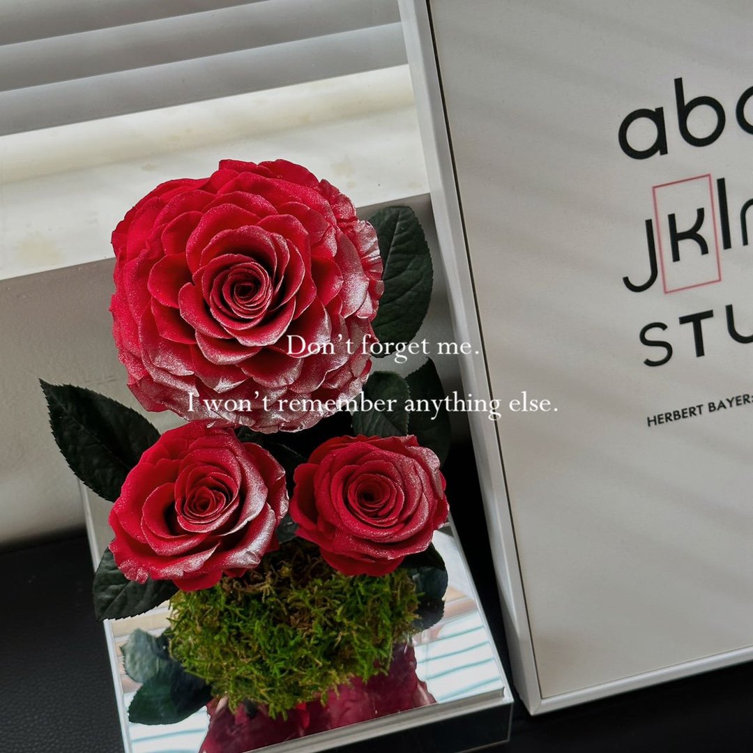 Red & Big Preserved roses Wholesale acrylic lid for Girl Friend Gift Customised color Natural Hand-Made Rose Best Ladies Gift