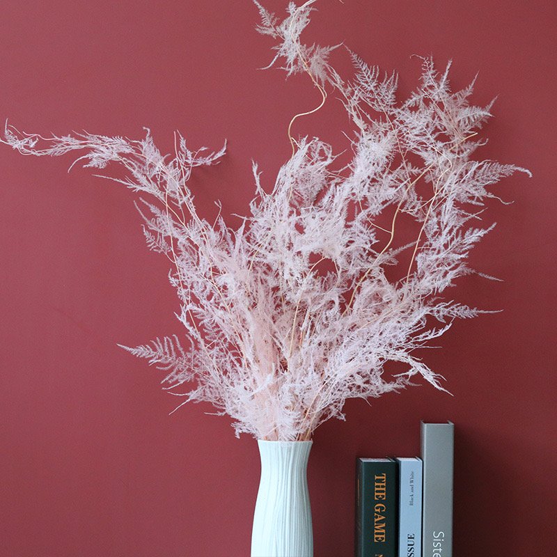 New product ideas gift prserved flowers natural decors real preserved flower bouquet asparagus fern for Home Decoration