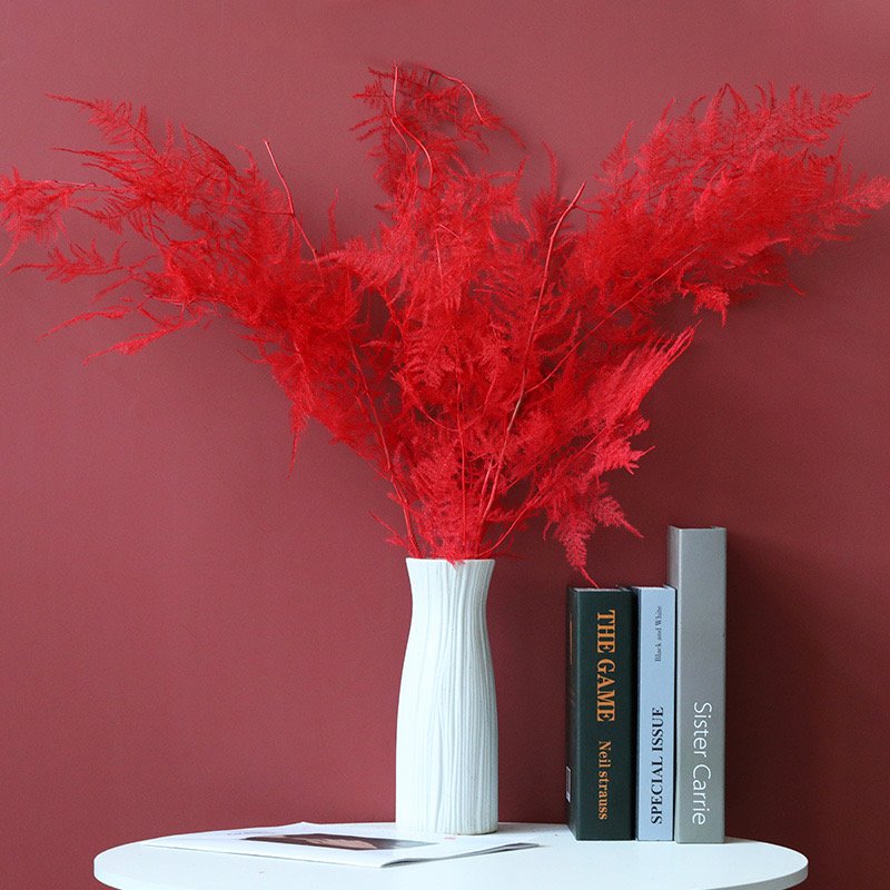 New product ideas gift prserved flowers natural decors real preserved flower bouquet asparagus fern for Home Decoration