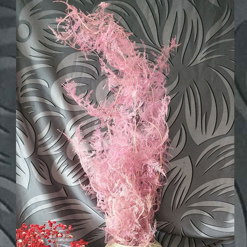 New product ideas gift prserved flowers natural decors real preserved flower bouquet asparagus fern for Home Decoration