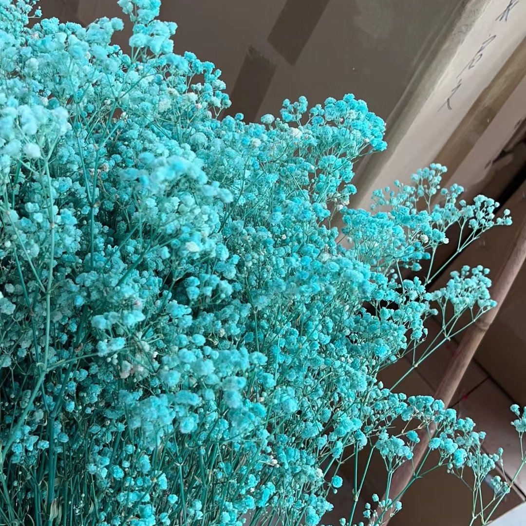 2023 Customized Upgraded Package Bulk Cream White Dried Flowers Large Dried Babys Breath Flowers Bouquet