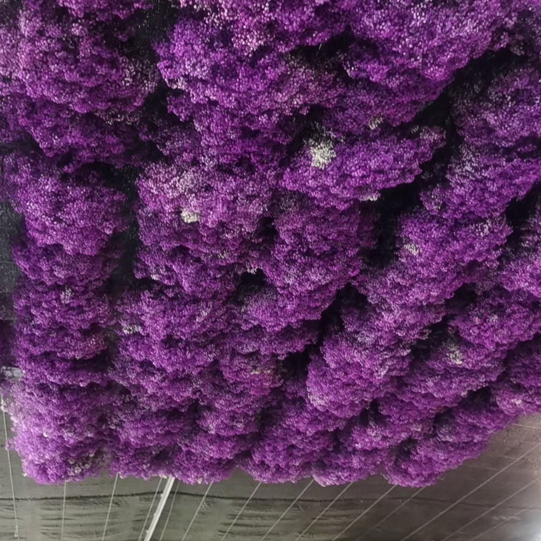 2023 Customized Upgraded Package Bulk Cream White Dried Flowers Large Dried Babys Breath Flowers Bouquet