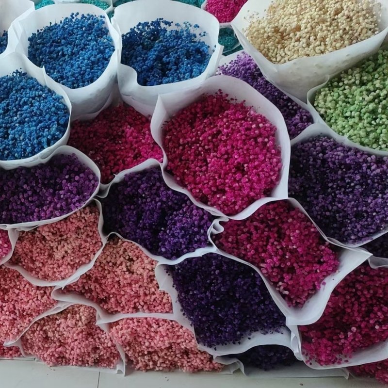 2023 Customized Upgraded Package Bulk Cream White Dried Flowers Large Dried Babys Breath Flowers Bouquet