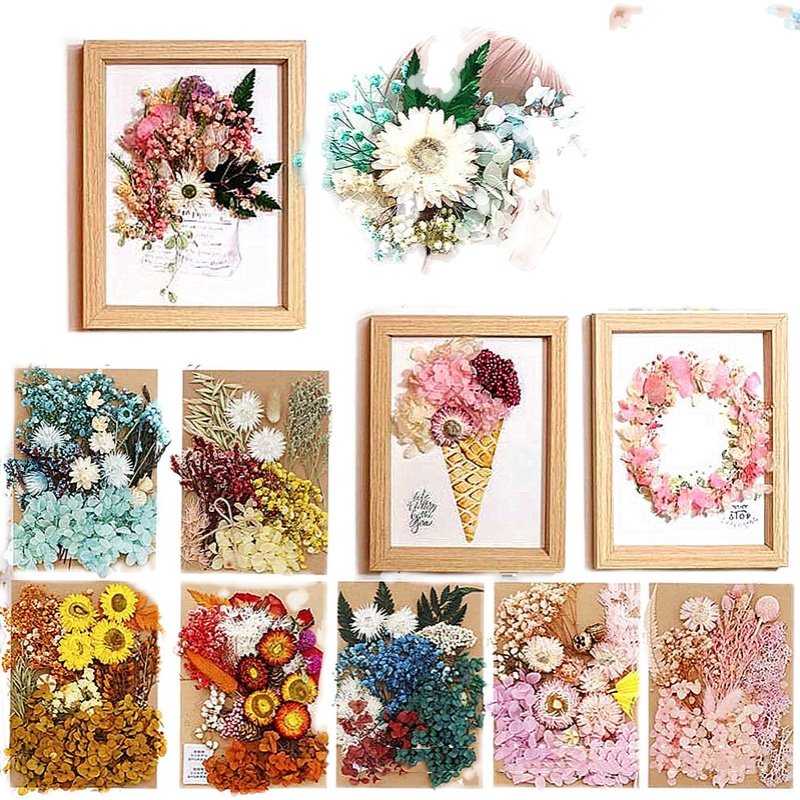 Natural Pressed Flowers Multiple Colorful Pink Red Real Dried Flowers Decorative for Art Crafts DIY Resin Molds